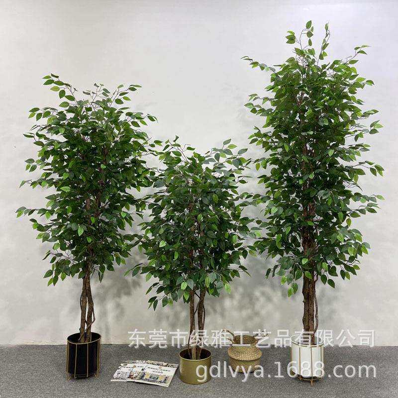人造真树杆小榕树仿真白边榕树假绿植盆栽过胶迷你榕客厅造景装饰