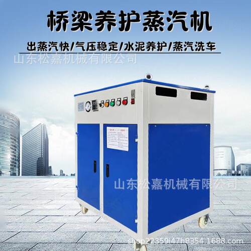 水泥构件养护器 电加热蒸汽发生器 冬季桥梁养护机