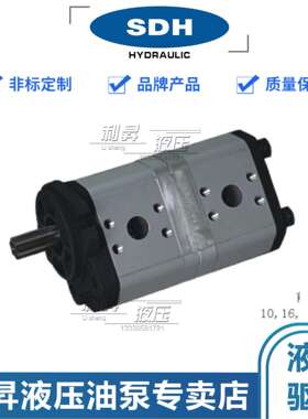 上海SDH液压齿轮泵CBD2-F520/22/32/39/46/52/522DF13S4-HNS双联