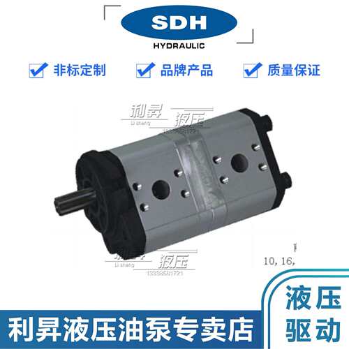 上海SDH液压齿轮泵CBD2-F520/22/32/39/46/52/522DF13S4-HNS双联