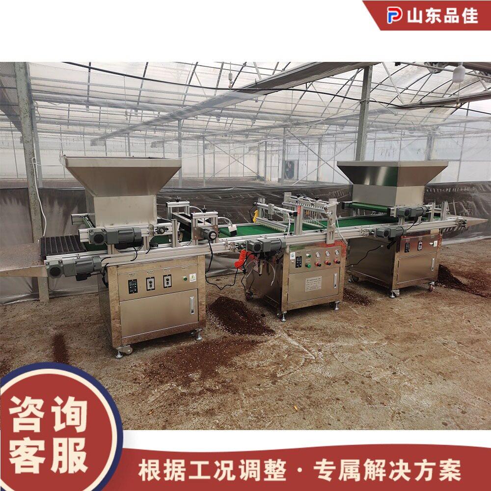 农用DUR吸式育针苗播种机蔬菜大棚动苗木种植机自穴盘育苗全点播