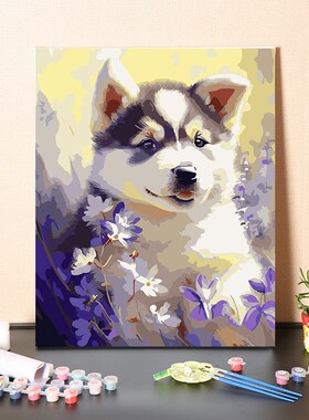 数字油画手工填充小奶狗博美柯基柴犬田园犬涂色丙烯油彩画画