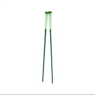 绿长胶管洋兰管保水管带杆加长玫瑰束养管店鲜保鲜营养管