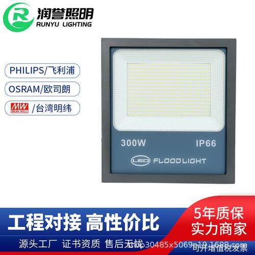 新款市电投光灯大功率高杆灯100W200W泛光灯广告招牌照明灯具应急