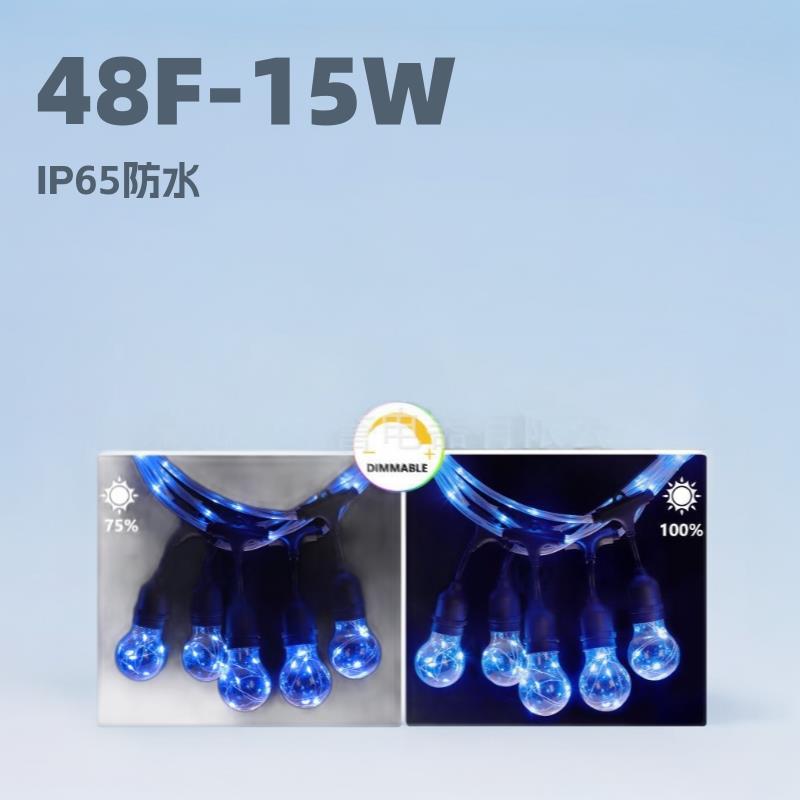 A55铜线灯 同步发光线 遥控LDE灯串 亚马逊直销 48FT-15灯