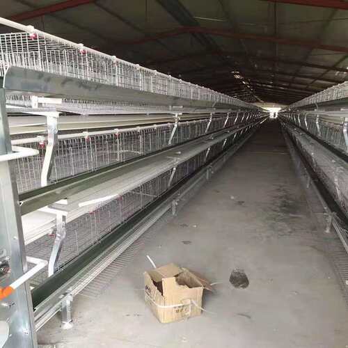 厂家 全自动小层叠蛋鸡养殖笼具笼养鸡用设备三层四层蛋鸡笼