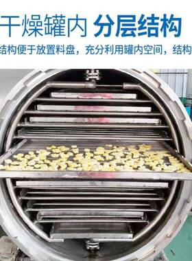 商用果食蔬原料榴莲果冻干品干燥机 巧莓克力草HFD350L低温芒冷冻