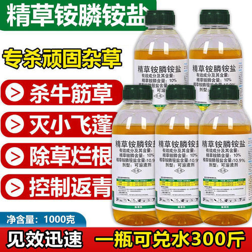 精草铵膦盐除剂正品磷烂根