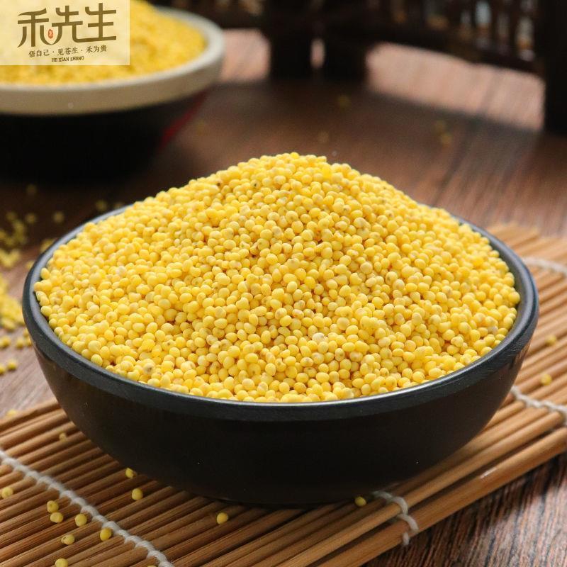 L东北粘大斤黄米5农家2斤糯软黄米包粽子Z粘豆包黏米粘饭新IXE米