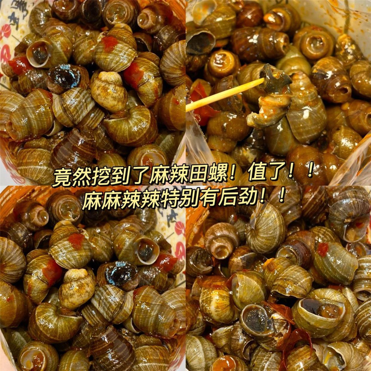 螺麻食辣田螺熟食螺丝肉8090年儿麻时怀旧小零食即罐SYY装田螺蛳