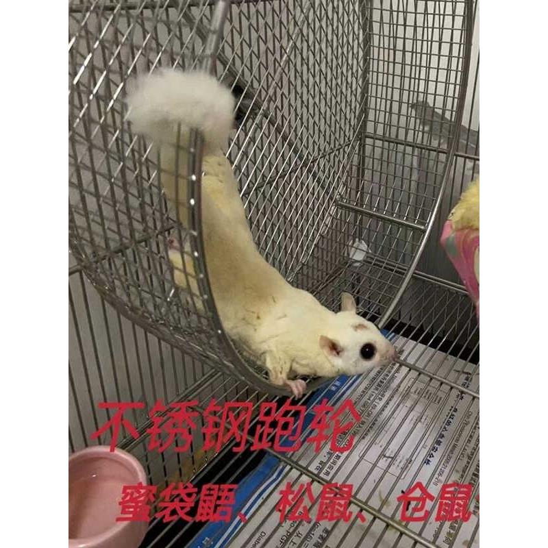 304不锈钢跑步轮无声跑步轮密集袋鼠松鼠跑步轮刺猬跑步轮仓鼠跑