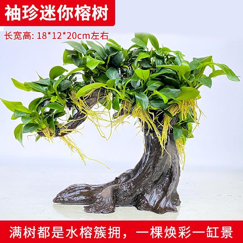 鱼缸树造景树水榕树幽灵辣椒榕迷你小叶榕沉木草缸仿真树脂装饰树