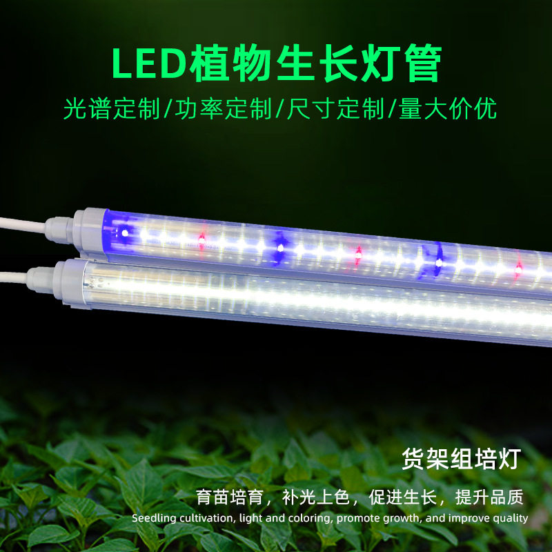 T8植物生长灯管防水1米2红蓝白光蔬菜花卉水培led植物照明灯工厂