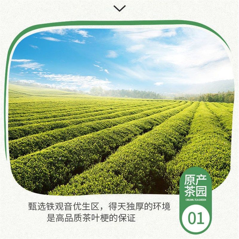 新房子除去异味茶叶梗送竹炭茶梗去异味除包新车除味剂