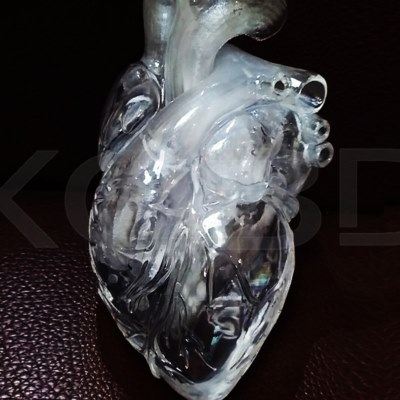 3d打印透明水晶心脏模型左心房右心脏肝脏肾脏胃部子宫医学定制