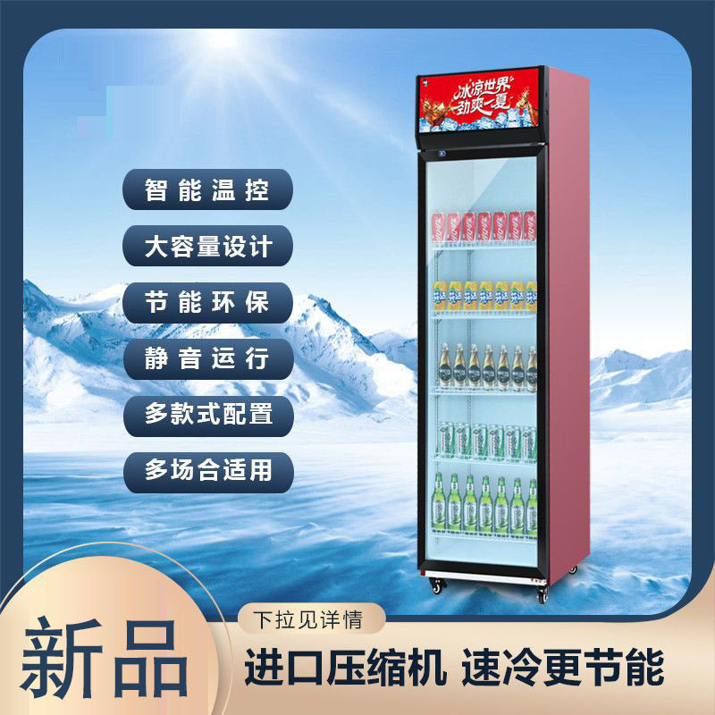 饮料啤酒柜商用立式单门冷藏展示柜水果蔬菜双开门保鲜柜超市冰柜