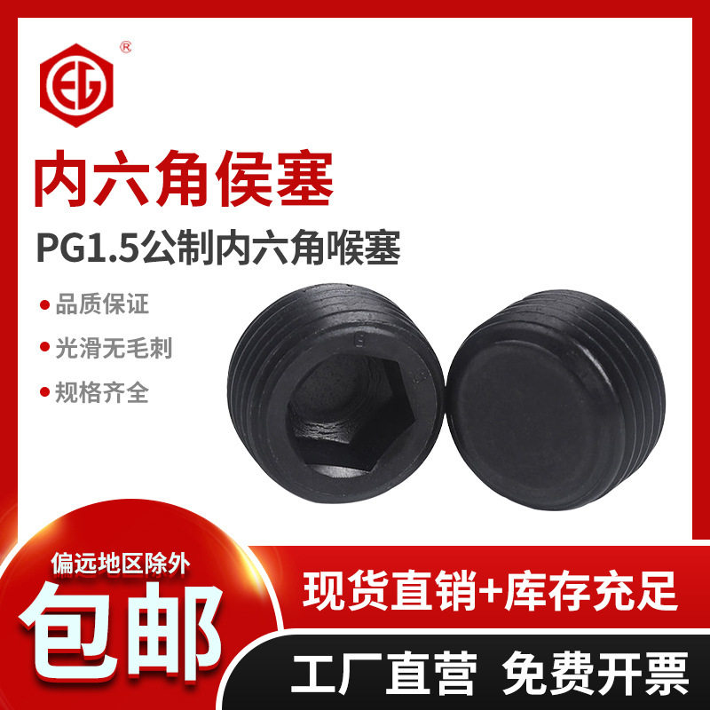 原装45H级止付螺丝标准PG1.5公制内六角喉塞堵头螺丝M10-M33