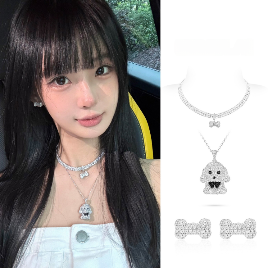 2025新品叛逆千金风小泰迪爱宠日记系列骨头饼干choker项链耳钉