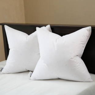 汉尚家居 洁羽绒羽毛鹅毛靠垫抱枕枕 羽协会信誉保证