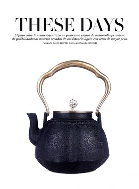 售楼处博古架软装饰品铁壶样板房手工铸铁茶壶生铁提梁壶