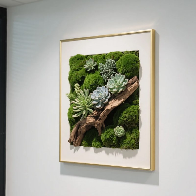 仿真植物背景墙挂画白发藓绿植装饰永生苔藓文化墙壁挂diy造景图片