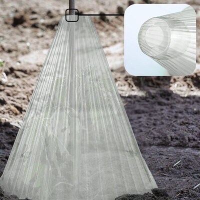 护苗罩植物幼苗保护罩植物钟罩护苗神器种菜透明大棚用家用果农用
