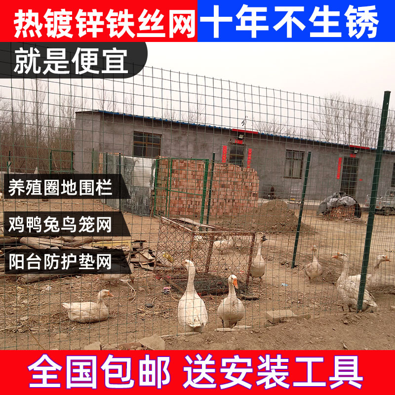 镀锌铁丝网围栏铁网钢丝养殖z养鸡A网格片防护栅栏护栏围挡围
