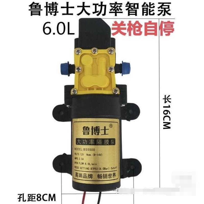 鲁博士双核水泵12v隔膜泵大功率关枪自停洗瓶器电动吸水洗车电机