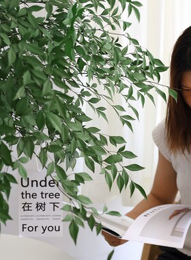 南天竹永生干束干树枝饰客厅摆设瓶插绿植级感真