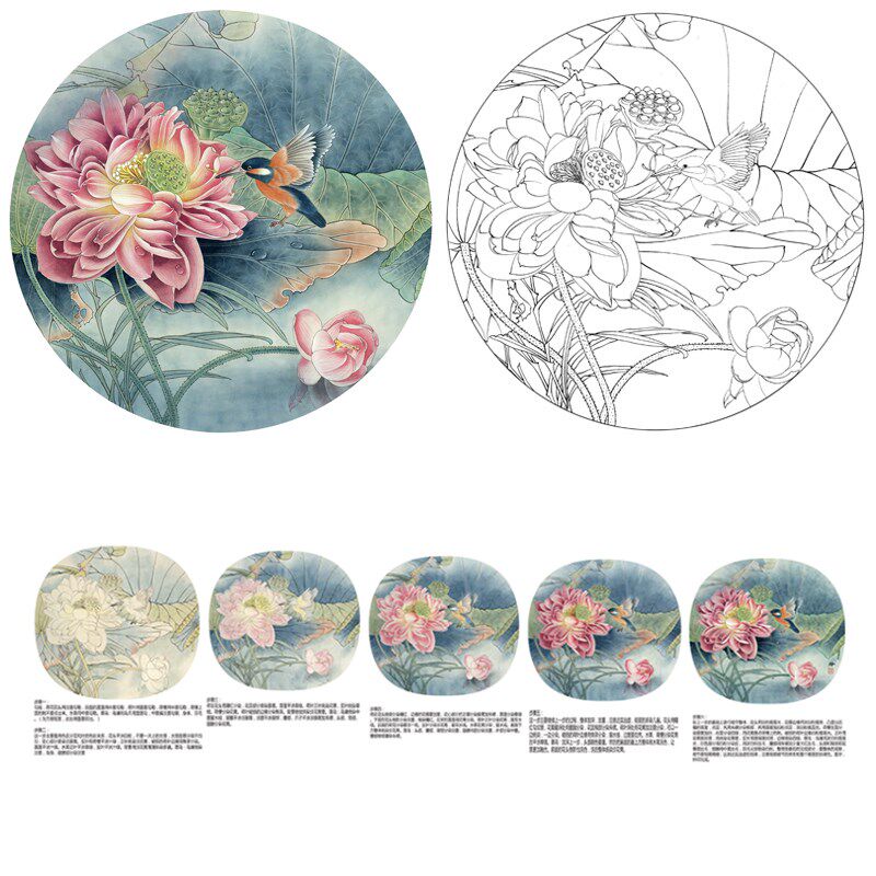 国画底稿白描线稿熟宣卡纸荷直接上色圆形鸟初学者临摹练习