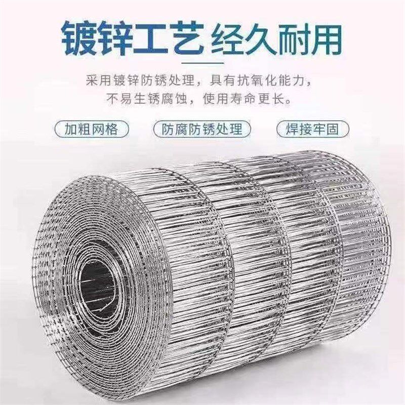 镀锌鸟网鹌鹑网铁丝网钢丝网养殖网养殖场养鸡铁丝钢丝养殖围网