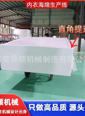 械 绵海绵发泡机生DSFP-01产线生产 海发设泡机备 海绵发泡机流水
