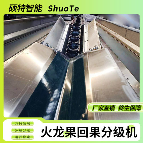 李子分拣机机全自动橙子选果机水果清洗风干分选一体机沃柑打蜡机
