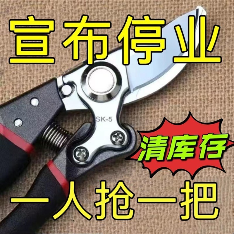 sk5强力园艺剪不锈钢省力修剪枝果树粗枝树枝剪子