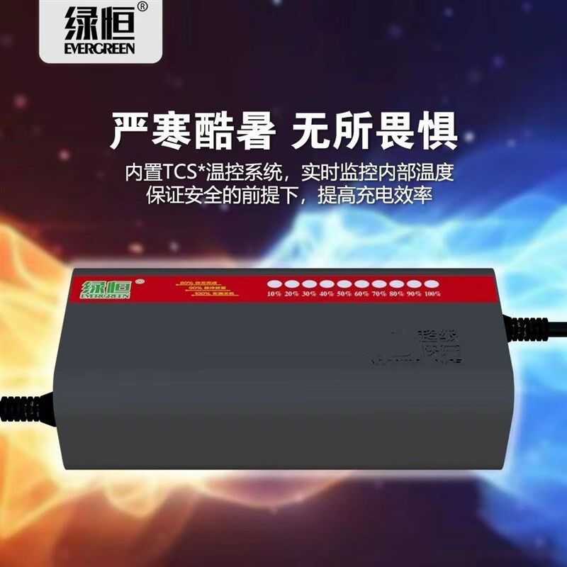 绿恒灯智能三轮四轮两用充电器脉冲修复防阻燃充满自动关机
