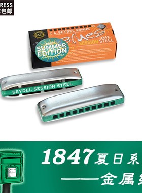 22款eydel布鲁斯十孔口琴eion teel夏日版 不锈钢簧片