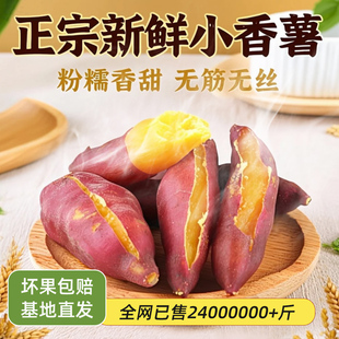 新鲜板栗红薯沙地天目小香薯农家迷你金手指小红薯黄心山芋粗粮