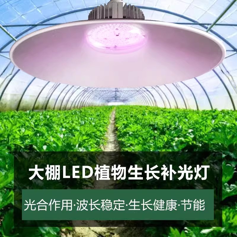 全光谱生长灯 草莓多肉上色仿太阳灯 大棚补光灯