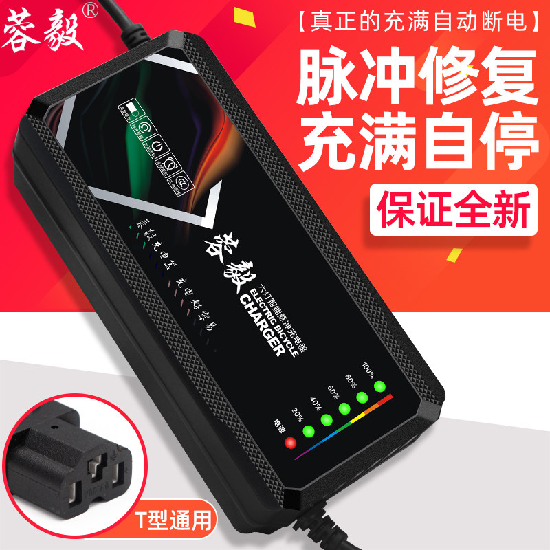 轮车自动断电关大功率六灯数显充电器
