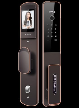 耐特Ntte新款D和睦锁人脸识别进户门指纹密码防盗全自动智能锁