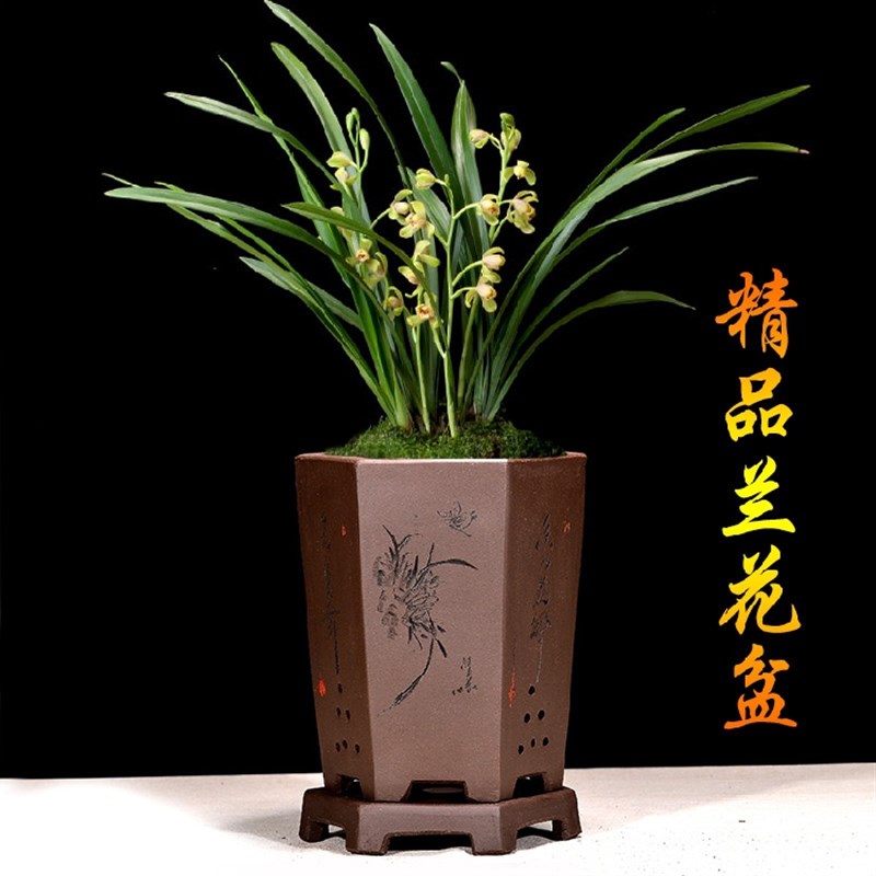 宜兴紫砂花盆兰花盆带托盘描金六方盆君子盆兰草盆景盆室内陶瓷盆