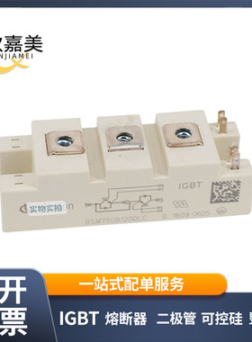 BSM75GB12DLC BSM75GB120DN2 BSM75GB170DN2 功率IGBT模块现货