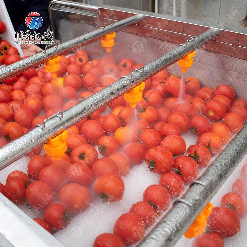 商 用西柿土豆自清洗机 鼓泡式果蔬清洗生产线全红动喷FHM淋生产