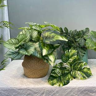 仿真小把束叶材龟背叶绿萝水芋店zj513513酒家植居餐桌装 饰物桌面