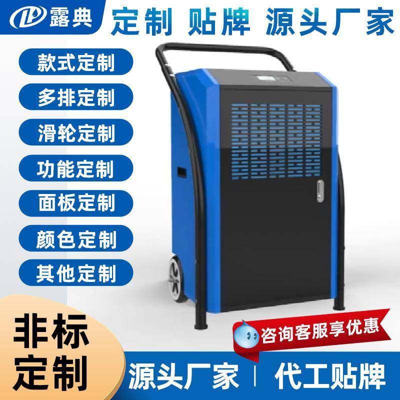 露扶典业除机大功率DZ02手移动式工商用湿源头工厂除湿工器代