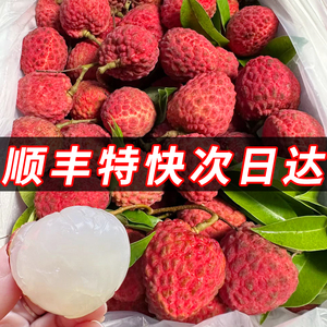 次日达新鲜荔枝现摘10斤