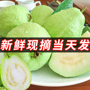 新鲜现摘番石榴芭乐鲜果脆甜