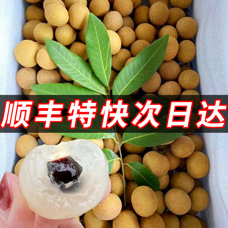 老树水果新鲜当季整箱10斤