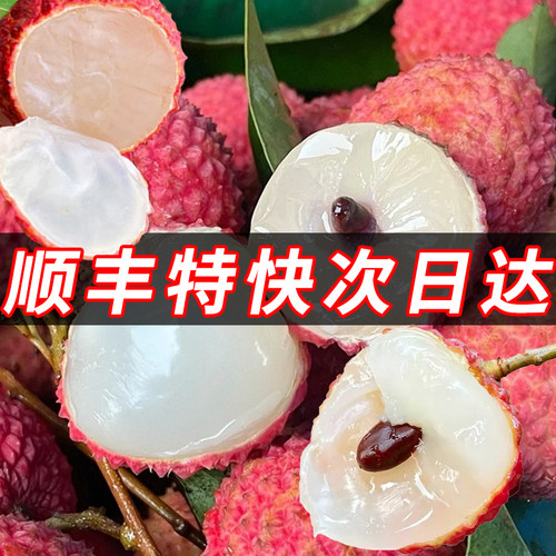 次日达新鲜荔枝现摘10斤