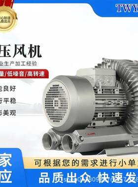 480V415V50/60HZ异电压漩涡气泵三项220V215V208V高压旋涡鼓风机